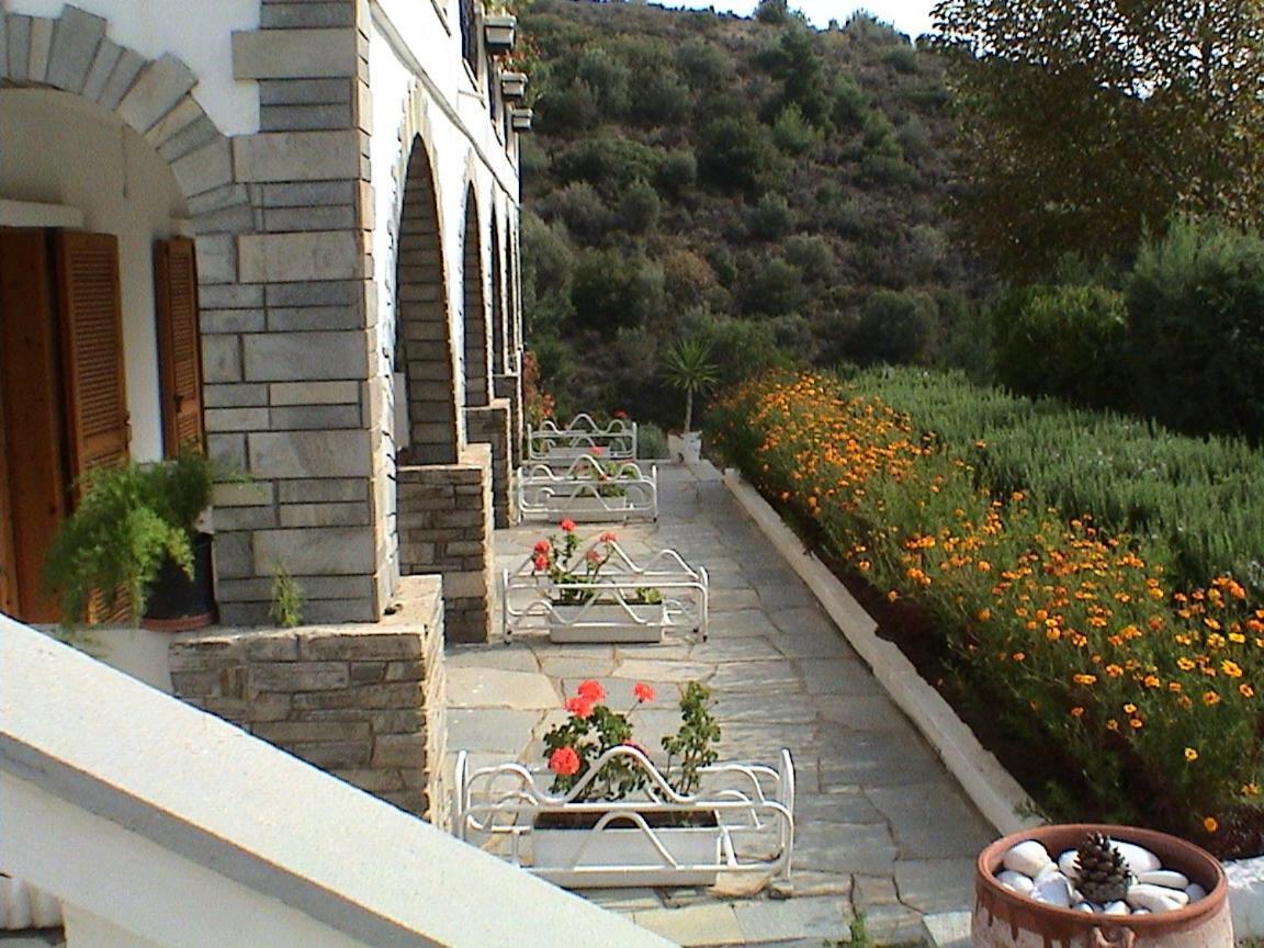 Pantheon Studios & Apartments Limenaria  Dış mekan fotoğraf